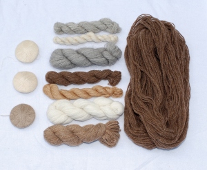The bison (and other handspun exotic fibre yarns) that started it all!
